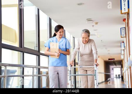 Junger asiatischer Physiotherapeut, der mit einer älteren Frau beim gehen mit einem Wanderer arbeitet Stockfoto