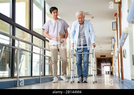 Junger asiatischer Physiotherapeut, der mit einem leitenden Mann beim gehen mit einem Wanderer arbeitet Stockfoto