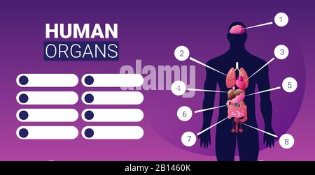 Infografisches Poster zur Körperstruktur des Menschen mit männlichen inneren Organen Symbole Anatomie Systemplatine Porträt horizontale Vektorgrafiken Stock Vektor