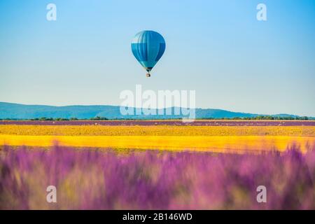 Lavendelfelder in der Nähe von Valensole in Südfrankreich, Provence, Frankreich Stockfoto