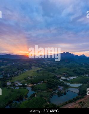 Sonnenuntergang, Teeplantagen mit Bergen im Hintergrund, in der Nähe von Hanoi, Vietnam Stockfoto