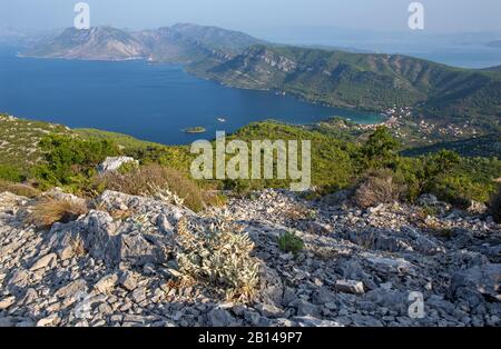 Kroatien - Die panoramatische Landschaft und die Küste der Halbinsel Peliesac bei Zuliana von der Spitze Sveti Ivan bei Sonnenaufgang Stockfoto