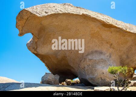 Arzachena, Sardinien/Italien - 2019/07/19: Prähistorischer Stein aus Granit - Roccia il Fungo - der neolithen Nuraghenzeit, Symbol von Arzachena Stockfoto