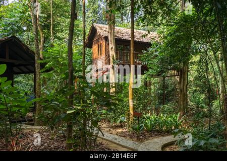Holzbaum-Hausbungalow im Regenwald Stockfoto