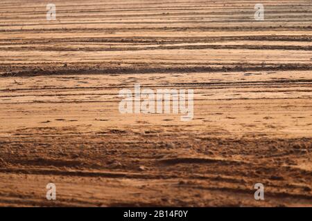 Goldener Landwirtschaftsbetrieb bereit zum Aussaaten von Samen mit goldenem Sonnenschein auf Feldhintergrund, Hintergrund und Textur für das Design, Stockfoto