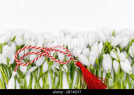 Heikle Schneetropfen, die als Reihen auf weißem Hintergrund angeordnet sind, werden zuerst im märz gefeiert Stockfoto