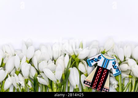 Heikle Schneetropfen, die als Reihen auf weißem Hintergrund angeordnet sind, werden zuerst im märz gefeiert Stockfoto