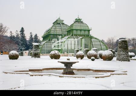 Wien, ÖSTERREICH - 15. JANUAR 2013: Die Glashäuser am Schloss Schönbrunn im Winter. Im Jahr 1882 wurden Glashäuser eröffnet. Stockfoto