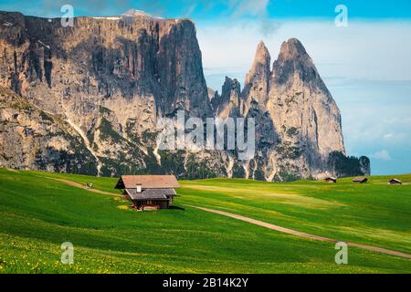 Holzhütten auf den blühenden Grünfeldern und spektakuläre Wanderwege mit hohen Klippen im Hintergrund, Alpe di Siusi Bergresort, Doles, Ital Stockfoto