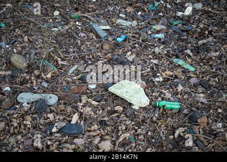 Massive Kunststoffverschmutzung im Inneren der Sundarbans, dem größten Mangrovenwald der Welt. Bangladesch Stockfoto