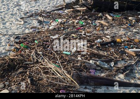 Massive Kunststoffverschmutzung im Inneren der Sundarbans, dem größten Mangrovenwald der Welt. Bangladesch Stockfoto