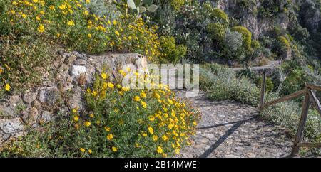 Taormina - der Weg zu den Frühling mediterranen Blumen. Stockfoto