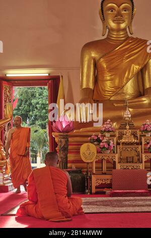 Mönche im Wat Mongkon Nimit (Wat Phuttha Mongkon) in Phuket Town, Thailand, bereiten sich auf Abendgebete vor einer großen, goldenen Buddha-Statue vor Stockfoto