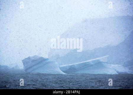 Schnee fällt über den Lallemand Fjord südlich des Polarkreises in der Antarktis. Dieser Bereich war früher vom Muller-Schelfeis bedeckt, das vollständig abkühle Stockfoto