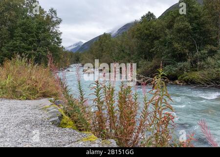 Glazialer Smaragdfluss in der Landschaft im Herbst Norwegens. Felsiges weißes Wasser bunte leuchtend rote und grüne Pflanzen Flussufer in den Bergen Wanderpfad Stockfoto