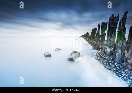 Tidalflats Peazemerlannen mit Holzgroyne, Niederlande, Frisia, Peazemerlannen, Moddergat Stockfoto