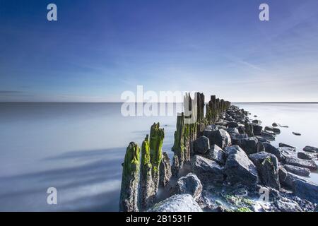 Tidalflats Peazemerlannen mit Holzgroyne, Niederlande, Frisia, Peazemerlannen, Moddergat Stockfoto