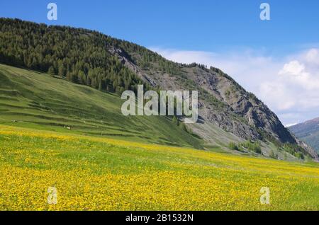 Engadin bei St. Moritz - Engadin bei St. Moritz 06 Stockfoto