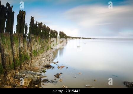 Tidalflats Peazemerlannen mit Holzgroyne, Niederlande, Frisia, Peazemerlannen, Moddergat Stockfoto