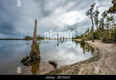 Iveagh Bay am Brunner See, Inchbonnie, Grey District, Westküste, Südinsel, Neuseeland Stockfoto