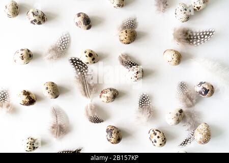 Wachteleier und Vogelfeder auf weißem Grund. Sammlung von Wachteleiern, ostermuster. Flache Lage, Draufsicht. Osterkonzept. Stockfoto