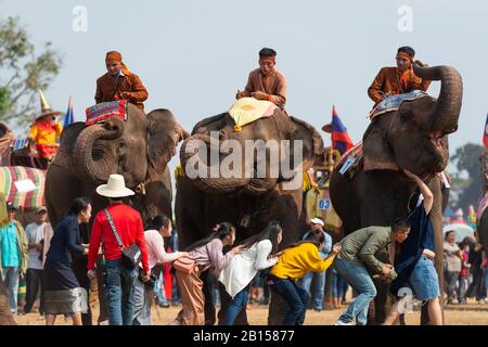 (200223) -- XAYABOURY, 23. Februar 2020 (Xinhua) -- Elefanten interagieren mit Touristen auf dem Elephant Festival 2020, das in der Provinz Xayaboury im Norden von Lao am 22. Februar 2020 veranstaltet wird. Das jährliche Festival findet seit 2007 in der Provinz Xayaboury statt, die dieses Jahr vom 22. Bis 28. Februar dauert. (Foto von Kaikeo Saiyasane/Xinhua) Stockfoto