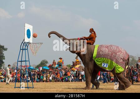 (200223) -- XAYABOURY, 23. Februar 2020 (Xinhua) -- Ein Elefant spielt Basketball auf dem Elephant Festival 2020 in der Provinz Xayaboury im Norden von Lao am 22. Februar 2020. Das jährliche Festival findet seit 2007 in der Provinz Xayaboury statt, die dieses Jahr vom 22. Bis 28. Februar dauert. (Foto von Kaikeo Saiyasane/Xinhua) Stockfoto