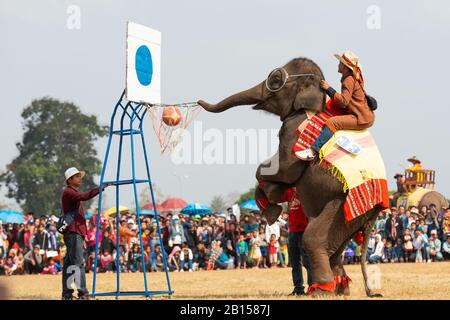 (200223) -- XAYABOURY, 23. Februar 2020 (Xinhua) -- Ein Elefant spielt Basketball auf dem Elephant Festival 2020 in der Provinz Xayaboury im Norden von Lao am 22. Februar 2020. Das jährliche Festival findet seit 2007 in der Provinz Xayaboury statt, die dieses Jahr vom 22. Bis 28. Februar dauert. (Foto von Kaikeo Saiyasane/Xinhua) Stockfoto