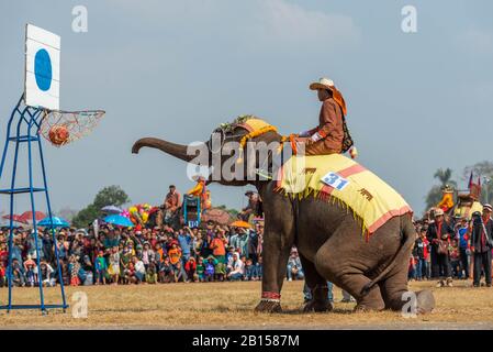 (200223) -- XAYABOURY, 23. Februar 2020 (Xinhua) -- Ein Elefant spielt Basketball auf dem Elephant Festival 2020 in der Provinz Xayaboury im Norden von Lao am 22. Februar 2020. Das jährliche Festival findet seit 2007 in der Provinz Xayaboury statt, die dieses Jahr vom 22. Bis 28. Februar dauert. (Foto von Kaikeo Saiyasane/Xinhua) Stockfoto