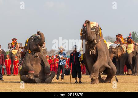 (200223) -- XAYABOURY, 23. Februar 2020 (Xinhua) -- Elefanten tanzen auf dem Elephant Festival 2020 in der Provinz Xayaboury im Norden von Lao am 22. Februar 2020. Das jährliche Festival findet seit 2007 in der Provinz Xayaboury statt, die dieses Jahr vom 22. Bis 28. Februar dauert. (Foto von Kaikeo Saiyasane/Xinhua) Stockfoto