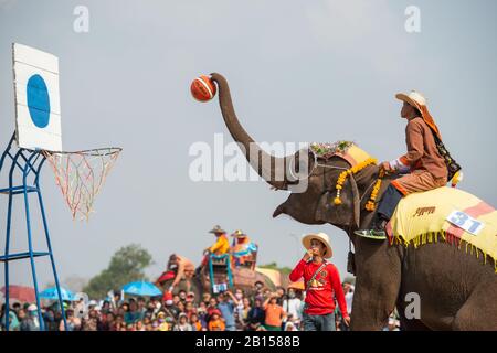 (200223) -- XAYABOURY, 23. Februar 2020 (Xinhua) -- Ein Elefant spielt Basketball auf dem Elephant Festival 2020 in der Provinz Xayaboury im Norden von Lao am 22. Februar 2020. Das jährliche Festival findet seit 2007 in der Provinz Xayaboury statt, die dieses Jahr vom 22. Bis 28. Februar dauert. (Foto von Kaikeo Saiyasane/Xinhua) Stockfoto