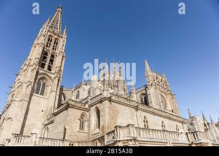 La Santa Iglesia Catedral Basílica Metropolitana de Santa María in Burgos Stadt, Kastilien und Leon, Spanien. Stockfoto