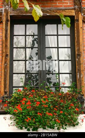 Ein Fenster mit einer Kaskade roter Geranien in einem Fensterkasten, Tours, Frankreich Stockfoto