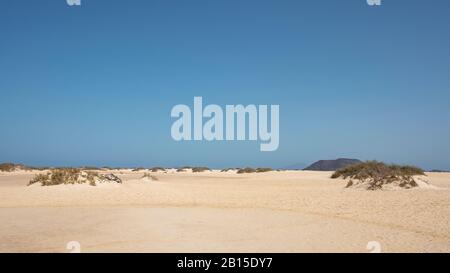 Der Naturpark der Dünen von Corralejo, atemberaubende trockene Landschaft von Hektar goldenen Sand geformt, in der Gemeinde La Oliva Stockfoto