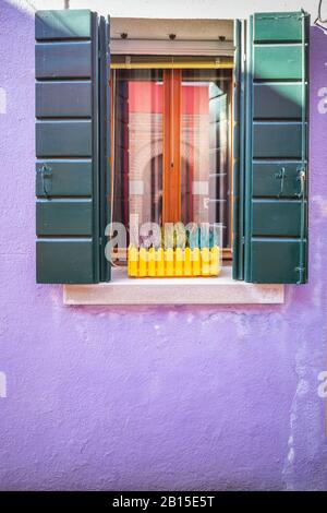 Malerische Fenster mit Fensterläden auf der berühmten Insel Burano, Venedig, Italien. Pflanzen auf der Wondow. Stockfoto