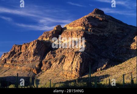 Diablo Mountains von Ajo Mountain Drive, Organ Pipe Cactus National Monument, Arizona Stockfoto