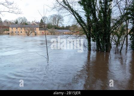 Überschwemmungen am River Wharfe am Thorp Arch erreichen die Türen eines Bauernhauses am Flussufer Stockfoto