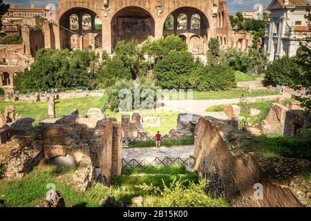Forum Romanum im Sommer, Rom, Italien. Das berühmte alte Forum ist eines der wichtigsten Wahrzeichen Roms. Malerische Aussicht auf die majestätischen Überreste des antiken Roms. Panora Stockfoto