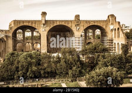 Die Basilika des Maxentius und Konstantin in das Forum Romanum in Rom, Italien Stockfoto