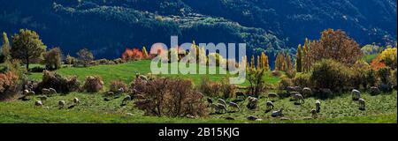 Die idyllische Landschaft des Gistain-Tals. Pyrenäen von Huesca. Spanien Stockfoto