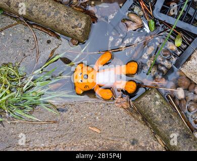 Kleiner Spielzeugbär in einem verstopften Abfluss Stockfoto