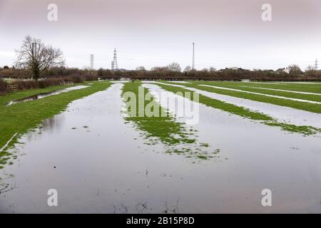 Überschwemmter Bauernplatz nach Storm Dennis Stockfoto