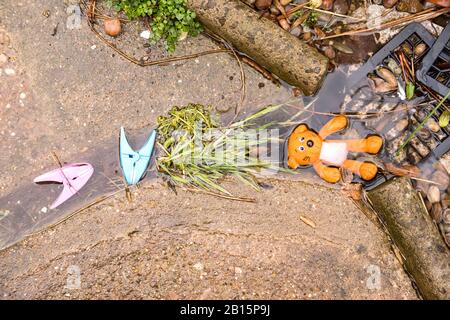 Kleiner Spielzeugbär in einem verstopften Abfluss Stockfoto