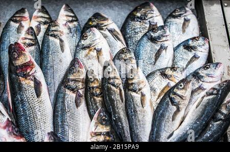 Blick auf Frischen Fisch auf dem Eis auf dem Markt in Oporto, Portugal Stockfoto