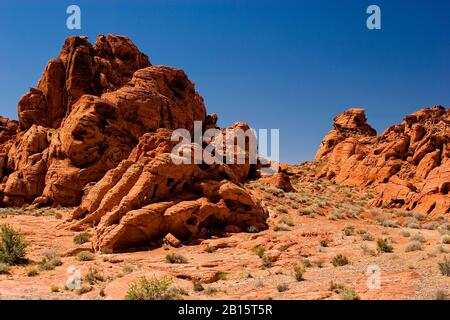 Valley of Fire State Park Nevada, USA Stockfoto