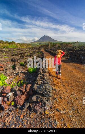 Frauen wandern in Weinbergen, Cais do Mourato, Pico Island, Azoren, Portugal, Westeuropa Stockfoto