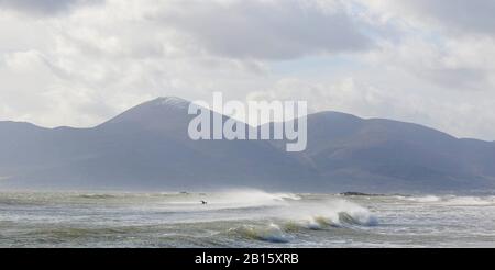 Tyrella, County Down, Nordirland. Februar 2020. Britisches Wetter - ein trockener, kühler Tag mit einer starken, westlichen Brise, die in der Nähe der Mourne Mountains in Tyrella weht. Credit: DavidHunter/Alamy Live News. Stockfoto