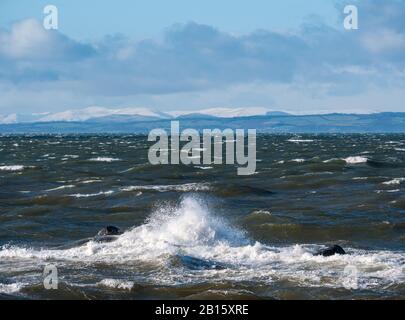 Firth of Forth, East Lothian, Schottland, Großbritannien, 23. Februar 2020. Großbritannien Wetter: Sehr starker Wind an der Küste mit Sonnenschein. Der Wind erzeugt weiße Kappen im Meer und große Wellen gegen das Ufer, mit Schnee, der auf den Hügeln über die Forth in Fife sichtbar ist Stockfoto