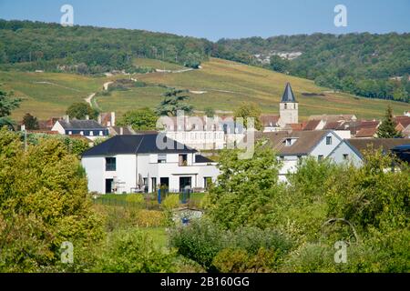 Wohnungen, Kirche und Weinberg von Vosne-Romanee Stockfoto