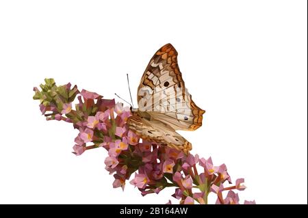 Niedrige poly Abbildung eines Schmetterlings auf einem Stamm von Blumen Stockfoto